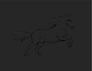 horse illustration