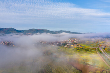 A drone view of the stunning expanse of the Vosges foothills. Autumn vineyards in the morning fog.