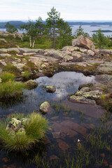 Fototapeta na wymiar View from Slåtterdalsberget/ Höga Kusten leden, Sweden