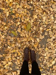 person walking on leaves