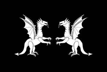 Two dragons on a black background