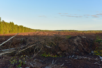 Destruction of trees on peatlands and drainage of peat bogs at extraction site. Development and Drainage of peat bogs. Drilling on bog for oil exploration. Wetlands declining and under threat.
