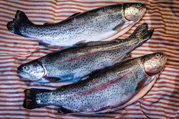 rainbow trout cleaned for cooking on red and white towel