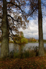two trees on the edges with a view of the reservoir