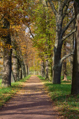 Fototapeta na wymiar autumn landscape in the Park path surrounded by colorful trees