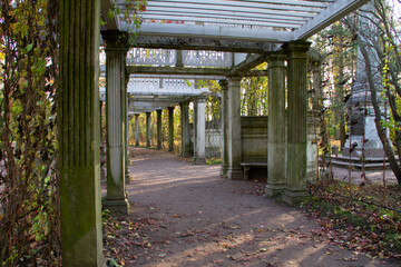 ancient columns in the Park, Pushkin city, Saint Petersburg, autumn 2020