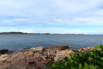 Coastal sea pictures With creepers and cracked rocks in the fore