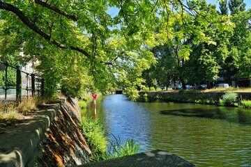Obraz premium river in the park