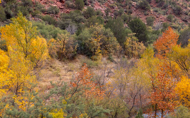 Scenic Verde River Canyon Arizona in Autumn