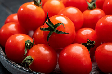 Small red ripe Sweet Enjoy cherry vine tomatoes, Rivolo variety