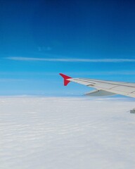 Fototapeta premium airplane in the sky
