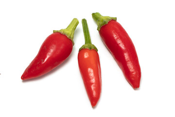 Fresh juicy peppers isolated on a white background