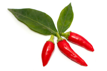 Fresh juicy peppers isolated on a white background
