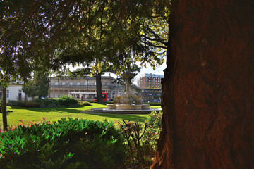Obraz premium park in the city