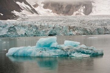 Blaueis vor einem Gletscher - Eistück mit blaugrüner Färbung vor Spitzbergen - Die Blaufärbung...