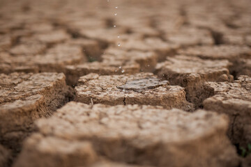 Water drop on dry cracked earth. Climate change