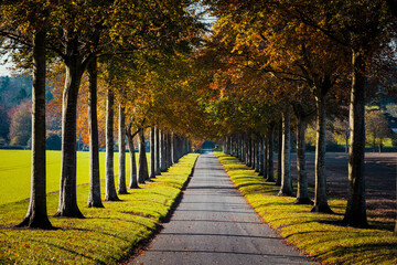 Fototapeta premium Moor Critchel