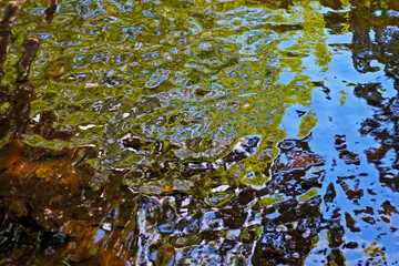 Reflections in lake water, Rio de Janeiro