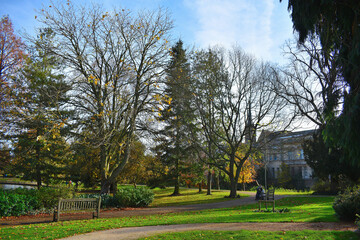 Obraz premium autumn in the park