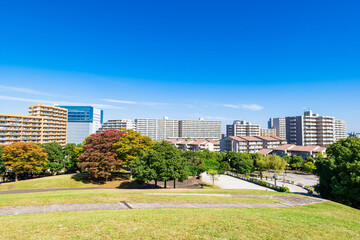 Obraz premium マンションが建ち並ぶ住宅街