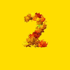 Colorful autumn leaves isolated on yellow background as number two.