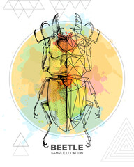 Realistic hand drawing and polygonal beetle on watercolor background. Artistic Bug. Entomological vector illustration