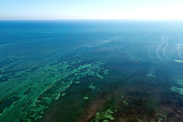 Tropical Sea Floor around Florida Keys