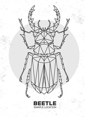 Abstract polygonal triangle stag beetle. Artistic Bug. Entomological vector illustration