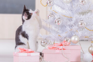 Little cat playing with Christmas tree ornaments