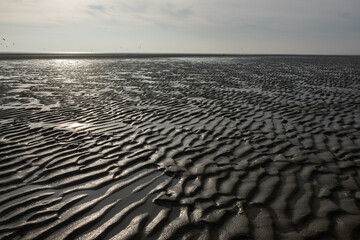 Ocean floor at low tide