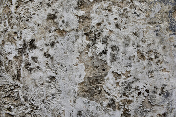 Gray concrete texture or background. With place for text and image.