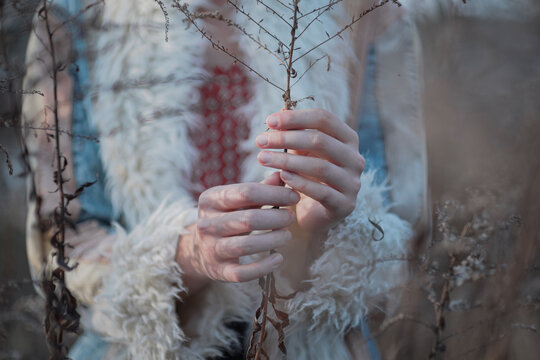 Hands holding dry faded grass stem. Beautiful female hands, autu