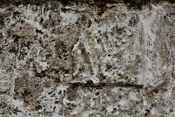 The background is made of rugged, gray-colored plaster walls.