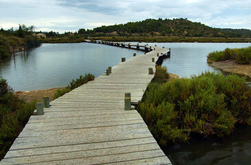 ponton de bois