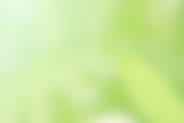 Green blurred background for design and decoration.