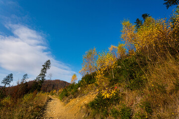 Fototapeta premium Autumn mountain landscape Wielka Racza
