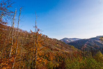 Autumn mountain landscape Wielka Racza