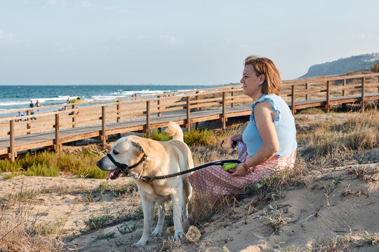 Woman looks at the sea sitting on the sand with her dog