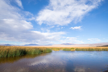 Laguna de Antofagasta. Lagoon and natural landscape of the Puna highland. Catamarca province,...