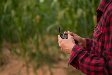 Happy young farmer or agronomist flying a drone, holding remote controller, and inspecting large corn field. Organic farming and healthy food production.