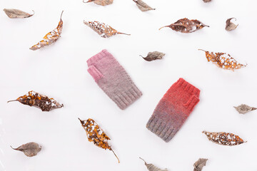 Dry autumn leaves and woolen knitted mittens gray and pink on a white background.