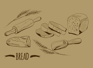 Bakery illustration in engraving sepia style.Sliced loaf, bitten of baguette.Equipment for bread cooking.Menu decoration,farmers market.Ears of wheat.Pastry retro monochrome sketch.Shovel for grain