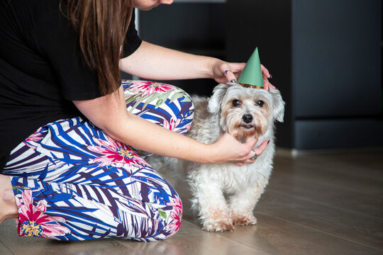 A dog mom adjusts her birthday boys hat