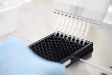 Pipetting into black plate