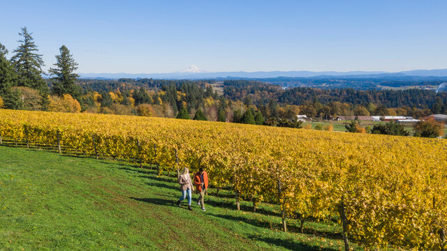 A young couple walks through a vineyard at a winery in Oregon.