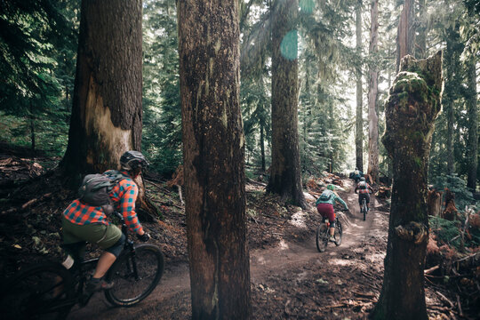 Four bikers ride through the forest at Mt. Hood, Oregon.