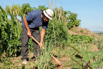 Colombian man working in the field