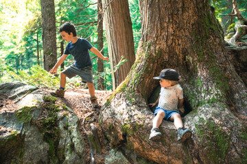 Two young boys playing in nature, lush forest setting.