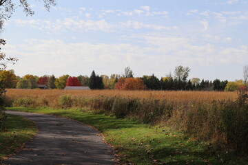 autumn landscape in a park