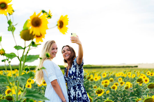 A couple of attractive young women one blonde and the other brunette posing in their designer dresses in a field of sunflowers using their smartphone